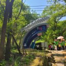 금강산가는길 | 양구 가볼만한 곳 '금강산 가는 길:두타연 피의 능선 코스' 투어 후기 (+예약 방법/ 코스 소개 등)