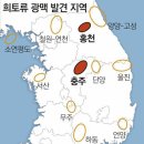 ‘희토류’ 충주-홍천서 30년치 발견(2011.6.29) 이미지