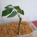 유림농약사 이미지