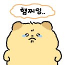 매스틱코리아