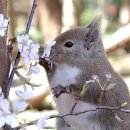 조근호정신건강의학과의원 이미지