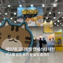 대산큰별작은도서관 | 37회 궁디팡팡 캣페스타 대전 방문 후기 | 주차 할인 및 꿀팁 총정리