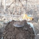 지열목장 이미지