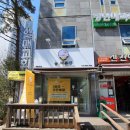 늘,예쁜개 이미지