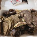 떡볶이양 튀김군 이미지