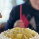 홀트로+현중로 이미지