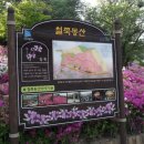 철쭉동산 이미지