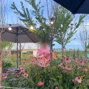 오송농장 | 퇴사자들 모임 후기?! (전 직장 사람들과 파티, 청주 오송 더다락농장 펜션 추천)