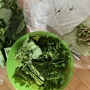 빛들농장 이미지