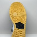 270-2563 | [NIKE DRAW] 나이키 드로우 SB 덩크 로우 프로 블랙 앤 검 라이트 브라운 당첨후기 !