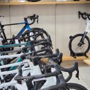 픽시코리아 | 자바코리아 쇼룸 방문, 시승, 가격확인! (feat. 미니벨로, 로드, MTB)