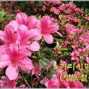 수련