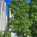 가족음악회 프랑스 메츠 브라스 앙상블 내한공연 | 프랑스 메츠 브라스 앙상블... (부천아트센터, BAC)