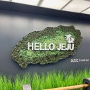 SK렌터카 | [제주] 여행 렌트카 전기차 아이오닉6 대여 내돈내산 추천 후기_Sk렌터카