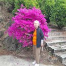 월곡초교 이미지