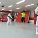 라임태권도장 이미지