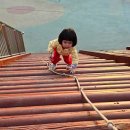 곤충생태관_4 이미지