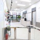 자연앤동물병원 이미지