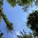 숲스토리야영장 이미지