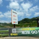 불나는목장 | [채집통🐝] 평창 가볼만한곳 대관령 삼양라운드힐 방문후기｜귀여운 양과 드넓은 초원이 있는 곳