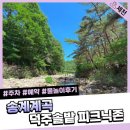 송계계곡 | 송계계곡 덕주솔밭 피크닉존 후기 제천 물놀이 주차 및 예약방법