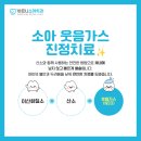 바르니소아치과의원 네이버블로그
