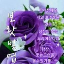 반도유보라 10차 입구 이미지