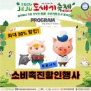 🐷제주 도새기 축제 오늘(13일)부터... 이미지