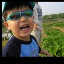 정빈농장 Daum카페