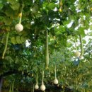 영등포구 대림1동주민센터 이미지