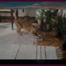 알로에테마파크 | 알로에테마파크 방문 후기: 즐거운 시간을 보냈다