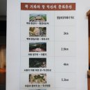 왕궁리유적전시관 | 익산 가볼 만한 곳 [익산 왕궁리 유적지] 왕궁리 5층석탑 &amp; 왕궁리유적전시관 해설사 관람후기