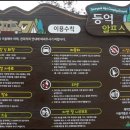 할매야영장 이미지