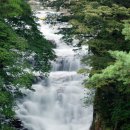 덕유대야영장 이미지