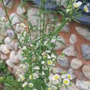 정원약국 이미지