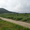 상창농장 이미지