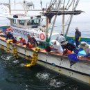 비안도수산 이미지