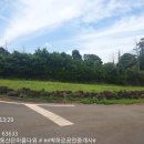 온평리-7 이미지