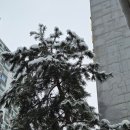 면목동-117 이미지