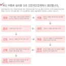 아이몰세븐