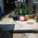 대학세탁소 이미지