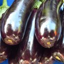 꼭지미용실 이미지