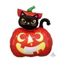 파티앤 캣 이미지