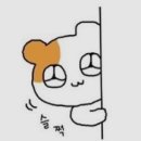바론모아