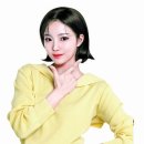 와이티디자인 중앙일보