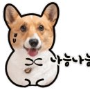 달빛새베이커리앤카페