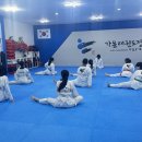 건강태권도장 | 서울성인태권도장, 태권도를 취미로 선택하는 성인들을 위하여 / 가격 / 후기