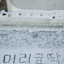 머리곱딱