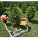 택수목장 이미지