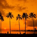 우쿨렐레A 이미지